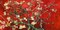 Mandorlo in fiore Poster Print by Vincent Van Gogh - Item # VARPDX2VG3105